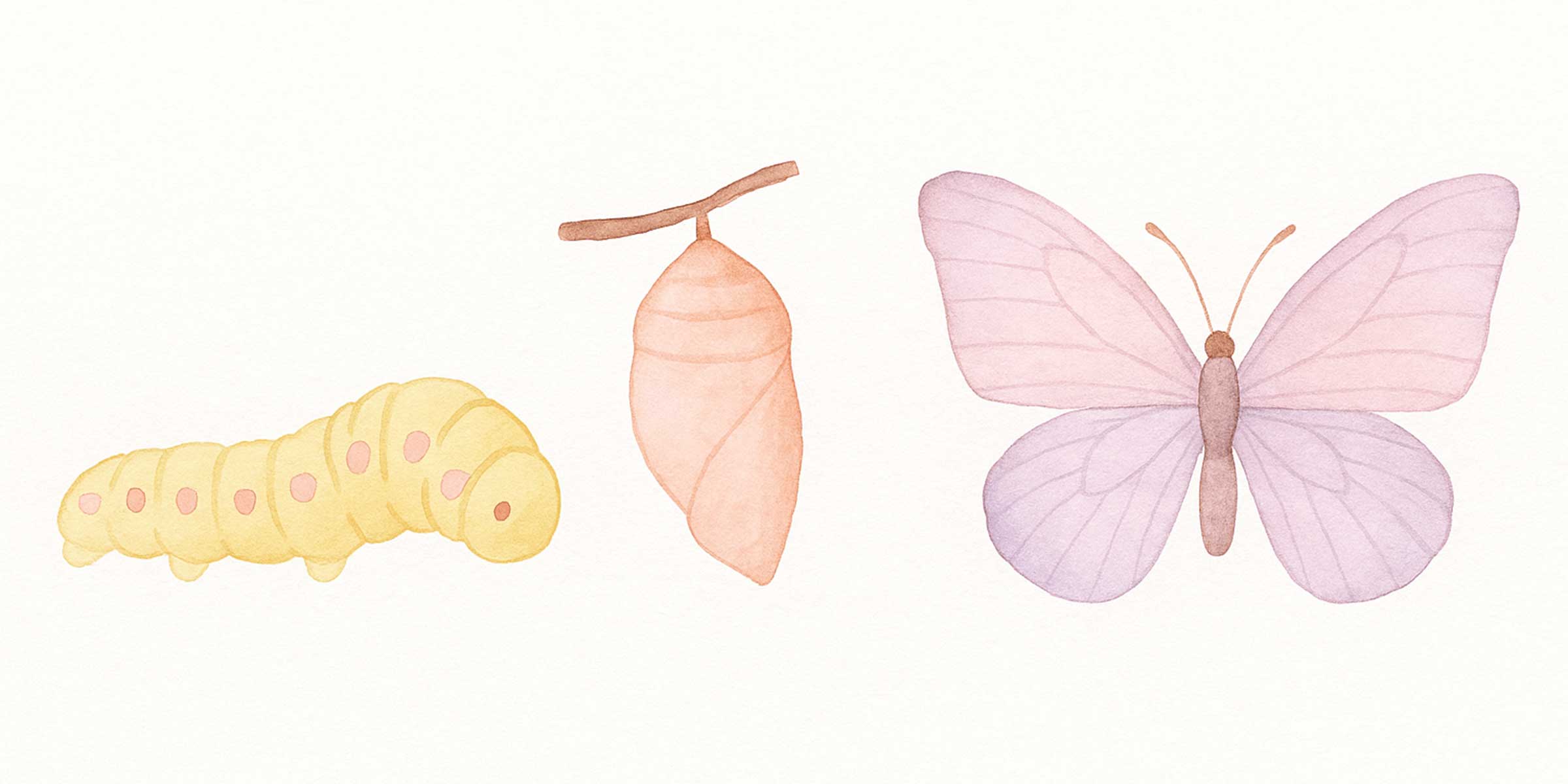 A Reflection on Transformation đŚ