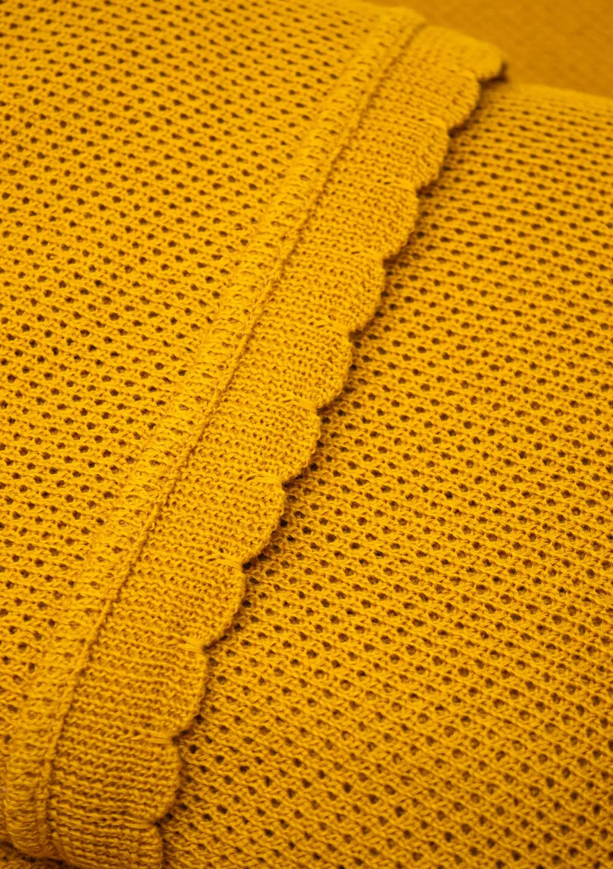 Limited Edition: Scalloped Cocoon - Honey