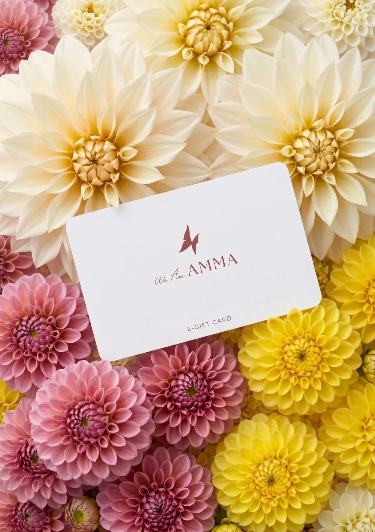 AMMA gift card on a bed of pink, yellow, and white flowers