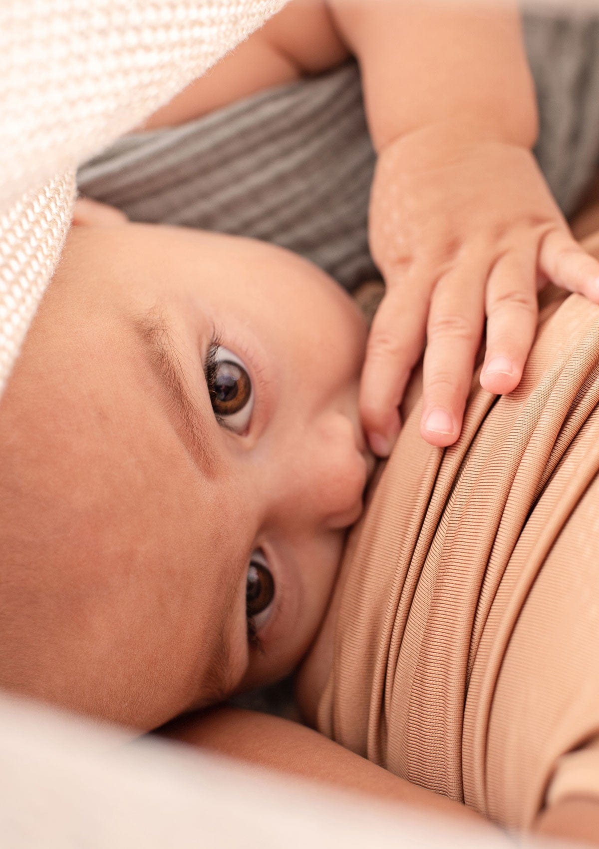 Limited Edition: Scalloped Cocoon - Natural