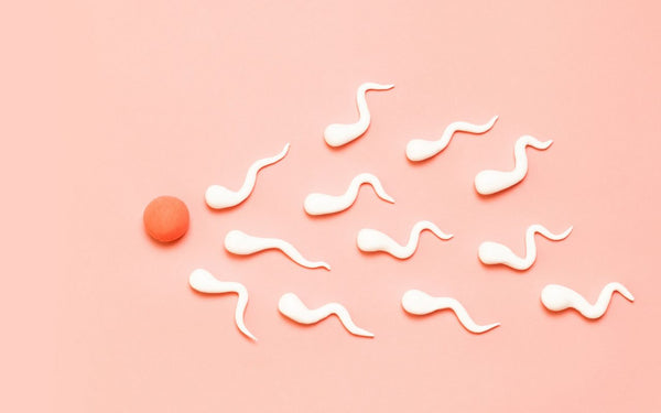 The Egg Whisperer - Busts Fertility Myths